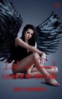 Story of The Twin Flame