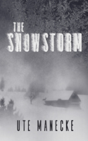 Snowstorm