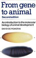 From Gene to Animal