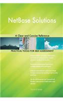 NetBase Solutions A Clear and Concise Reference