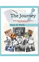 The Journey, 2019