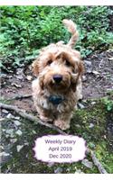 Weekly Diary April 2019-Dec 2020: 6x9 week to a page planner with notes & to do list each week. Extra notes pages included. Perfect for self-employed, business, shift workers & as ch