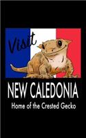 Visit New Caledonia Home of the Crested Gecko