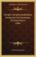 Spitz Und Spitzmundkrabben, Oxyrhyncha Und Oxystomata, Des Roten Meeres (1906)