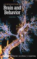 An Introduction to Brain and Behavior (International Edition)