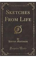 Sketches from Life (Classic Reprint)