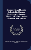 Enumeration of Fossils Collected in Niagara Limestone at Chicago, Illinois; With Descriptions of Several new Species