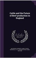 Cattle and the Future of Beef-production in England