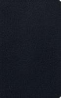 ESV Men's Study Bible