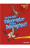 Can You Tell a Velociraptor from a Deinonychus?