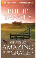 What's So Amazing about Grace?