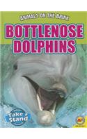 Bottlenose Dolphins