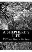 A Shepherd's Life: Impressions of the South Wiltshire Downs(English)