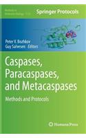 Caspases, Paracaspases, and Metacaspases