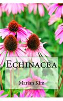 Echinacea
