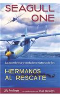 Seagull One