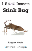 Stink Bug