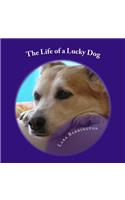 The Life of a Lucky Dog