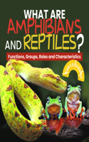 What Are Amphibians and Reptiles? Functions, Groups, Roles and Characteristics Grade 6-8 Life Science