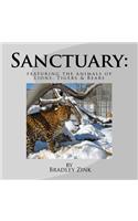 Sanctuary: Featuring the Animals of Lions, Tigers & Bears: Featuring the Animals of Lions, Tigers & Bears