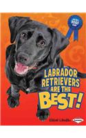 Labrador Retrievers Are the Best!: (Best Dogs Ever)