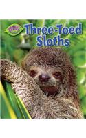 Three-Toed Sloths