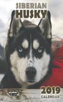 The Siberian Husky 2019 Calendar (UK Edition)