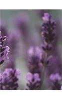 Lavender Homeopathy Aromatherapy Incense Aroma Scent Oil Oils Perfume Relaxation