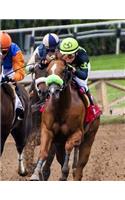 Horse Racing Betting Bet Horses Track Equestrian Equine Bets: Notebook