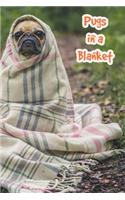 Pugs in a Blanket