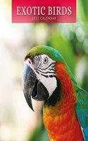 EXOTIC BIRDS 2023 SQUARE WALL CALENDAR
