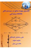 Optimal Resources Allocation in Cooperative OFDM systems