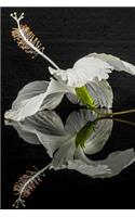 Stunning White Hibiscus Flower and Reflection Journal: Take Notes, Write Down Memories in this 150 Page Lined Journal