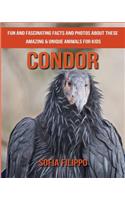 Condor