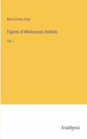 Figures of Molluscous Animals