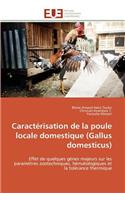 Caractérisation de la Poule Locale Domestique (Gallus Domesticus)