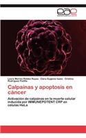 Calpaínas y apoptosis en cáncer