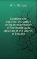 DOCTRINE AND DOCTRINAL DISRUPTION BEING