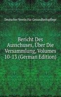 Bericht Des Ausschuses, Uber Die Versammlung, Volumes 10-13 (German Edition)
