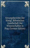 Sitzungsberichte Der Konigl. Bohmischen Gesellschaft Der Wissenschaften in Prag (German Edition)
