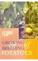 Growing And Breeding Of Potatoes