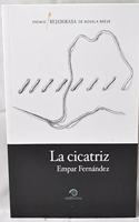 CICATRIZ, LA (PREMIO REJADORADA)(9788493542566)