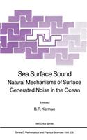 Sea Surface Sound