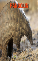 Pangolin: Amazing Facts about Pangolin