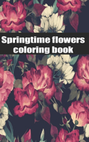 Springtime Flowers coloring book: An Adult Coloring Book with Bouquets, Wreaths, Swirls, Patterns, Decorations, Inspirational Designs, and Much More!