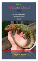 Tips to Caiman Lizard as Pet: All You Need To Know About Your Caiman Lizard