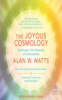 Joyous Cosmology