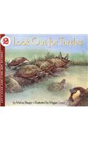 Look Out for Turtles
