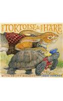 The Tortoise & the Hare