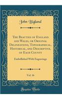 The Beauties of England and Wales, or Original Delineations, Topographical, Historical, and Descriptive, of Each County, Vol. 16: Embellished with Engravings (Classic Reprint)